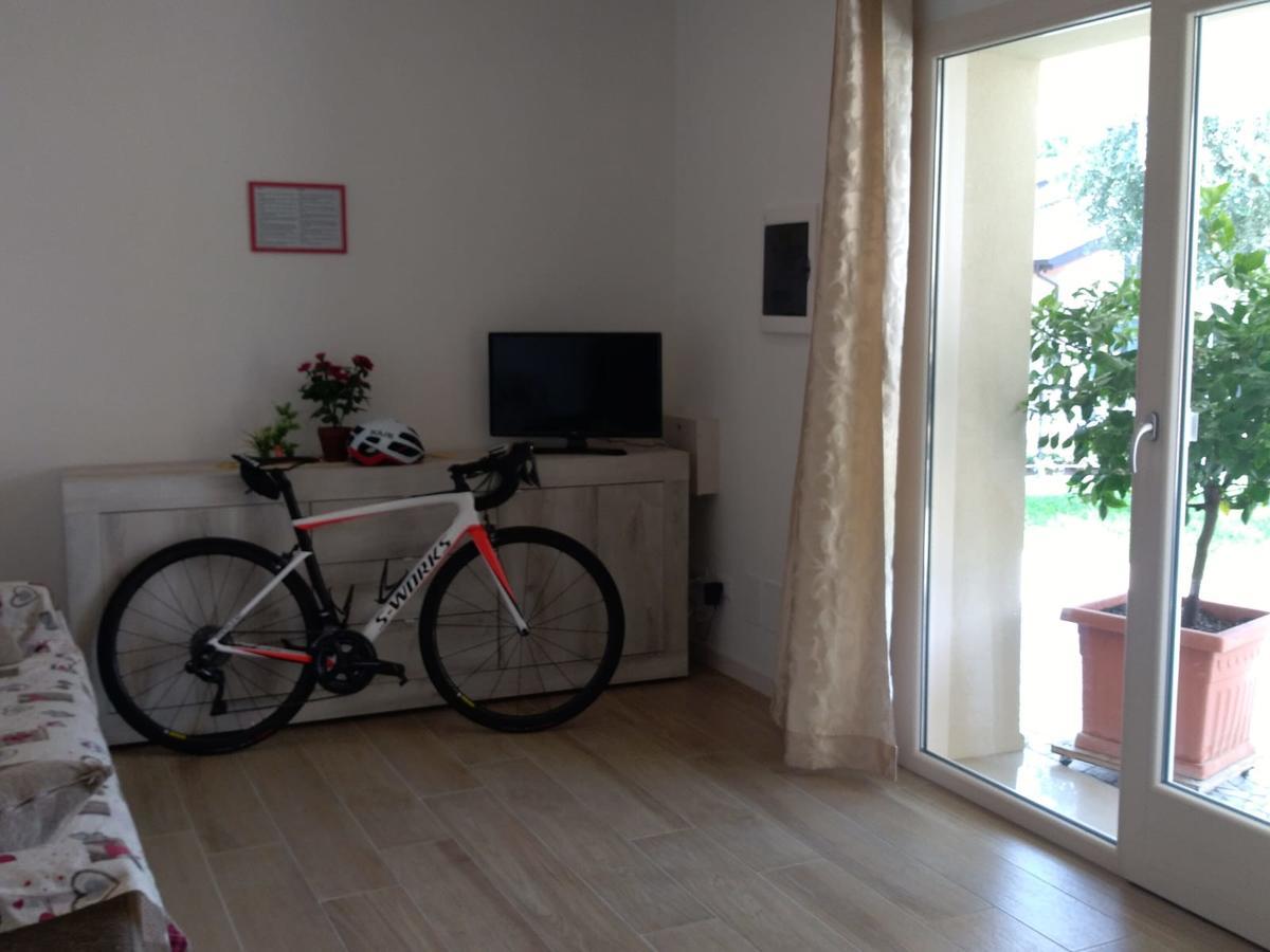 Apartment Conte Borso del Grappa Eksteriør billede